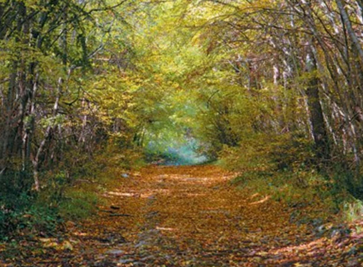 Kaiserwald PUY 외부 사진