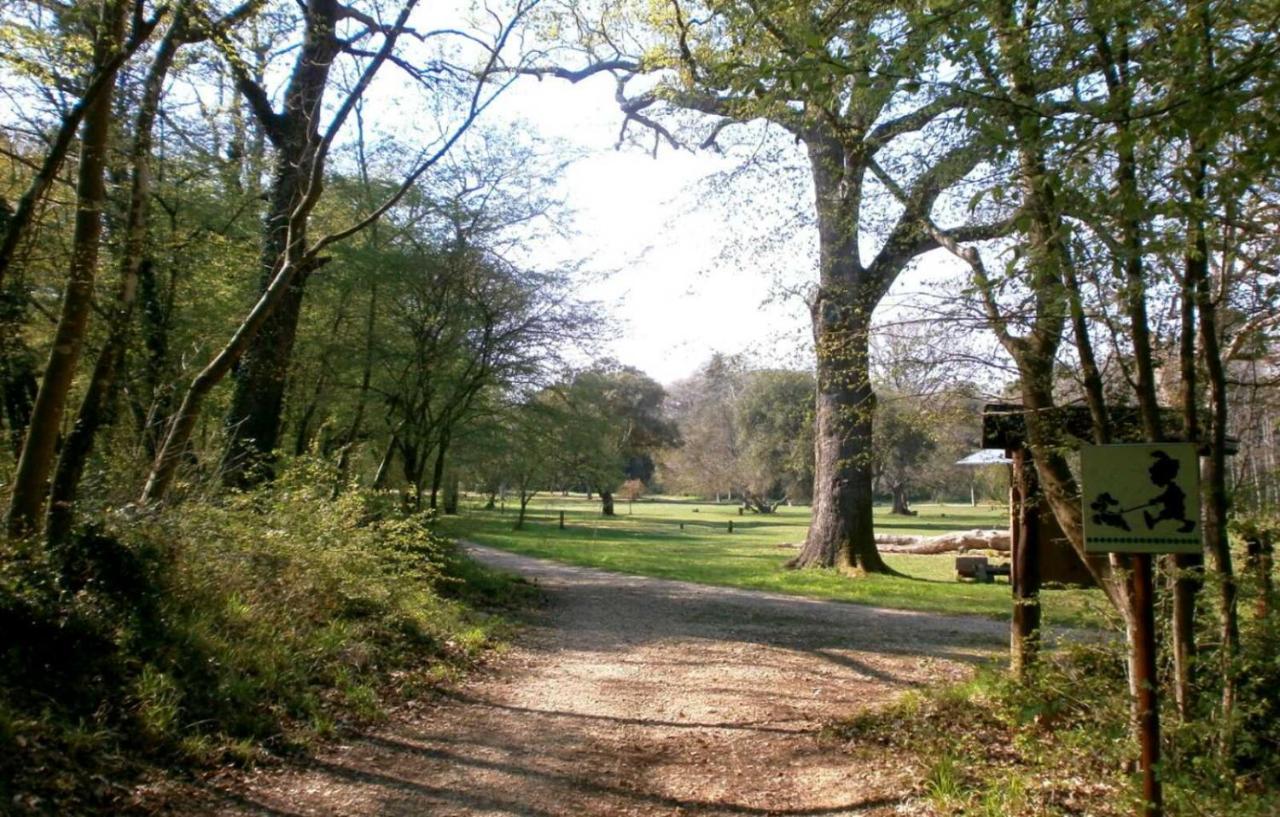 Kaiserwald PUY 외부 사진